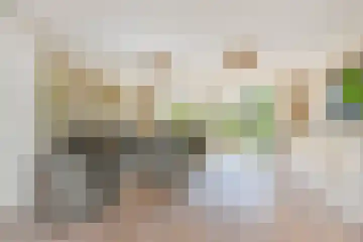 Meikeverstraat 18 Berkel en Rodenrijs thumbnail 11