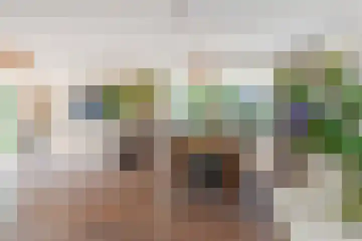 Meikeverstraat 18 Berkel en Rodenrijs thumbnail 12