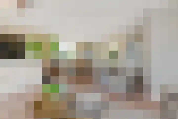 Meikeverstraat 18 Berkel en Rodenrijs thumbnail 14