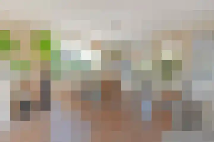 Meikeverstraat 18 Berkel en Rodenrijs thumbnail 15