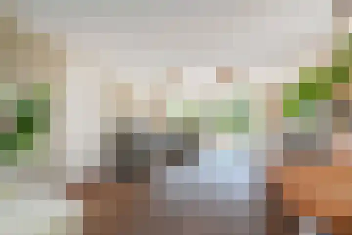 Meikeverstraat 18 Berkel en Rodenrijs thumbnail 16
