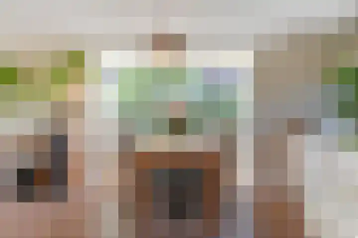 Meikeverstraat 18 Berkel en Rodenrijs thumbnail 17