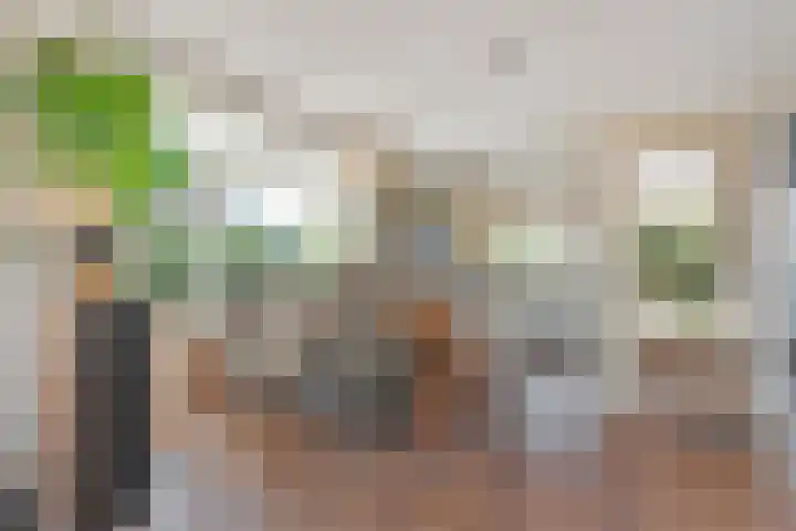Meikeverstraat 18 Berkel en Rodenrijs thumbnail 18