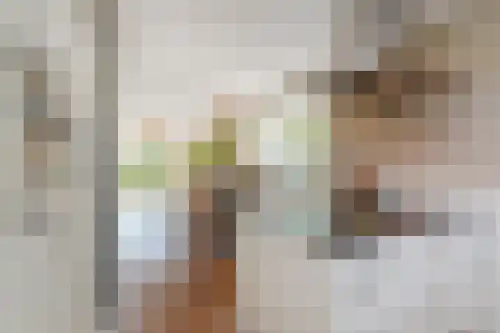 Meikeverstraat 18 Berkel en Rodenrijs thumbnail 23