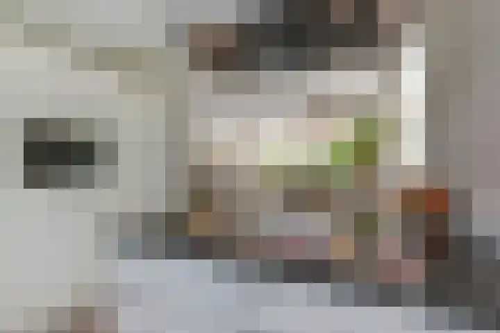 Meikeverstraat 18 Berkel en Rodenrijs thumbnail 24
