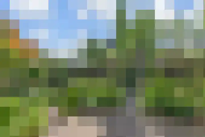 Meikeverstraat 18 Berkel en Rodenrijs thumbnail 27