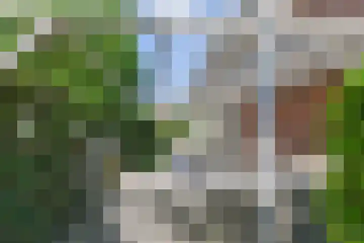 Meikeverstraat 18 Berkel en Rodenrijs thumbnail 31