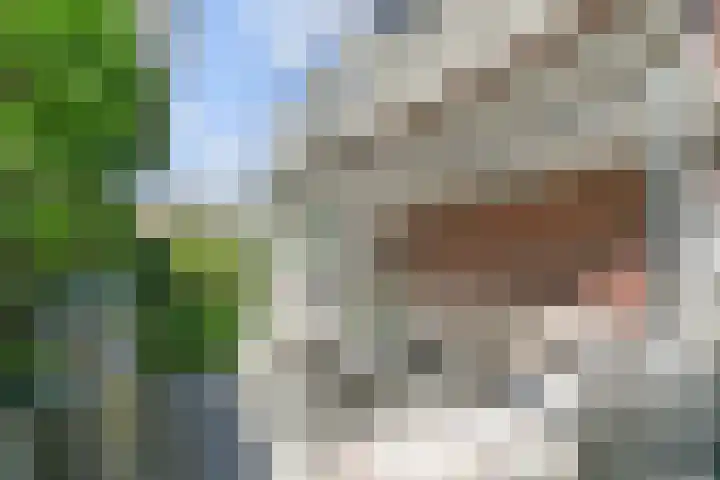 Meikeverstraat 18 Berkel en Rodenrijs thumbnail 32