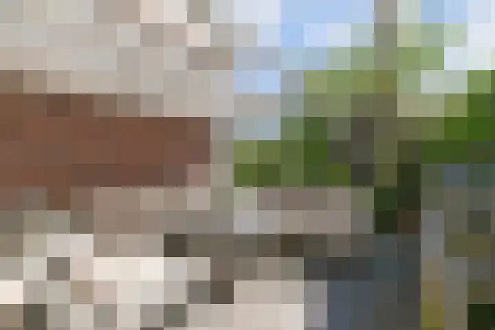 Meikeverstraat 18 Berkel en Rodenrijs thumbnail 33