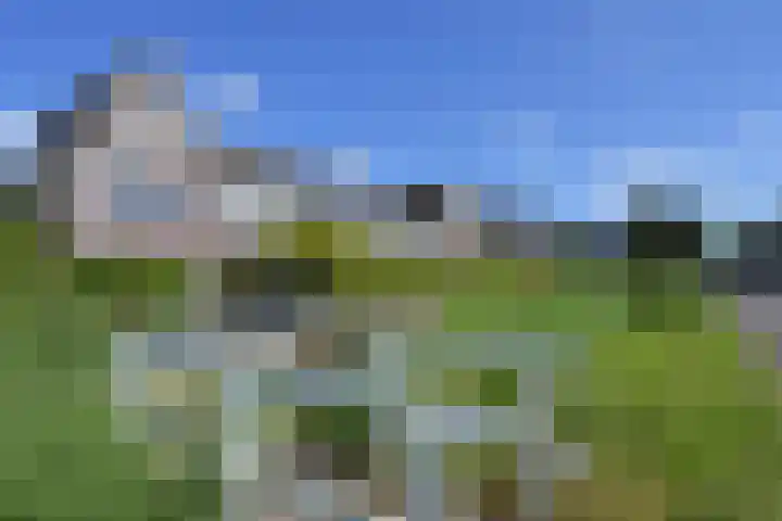 Meikeverstraat 18 Berkel en Rodenrijs thumbnail 4