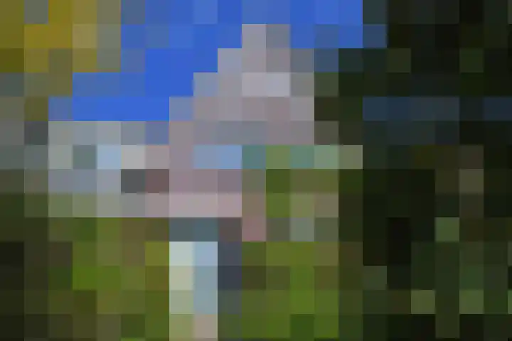 Meikeverstraat 18 Berkel en Rodenrijs thumbnail 5