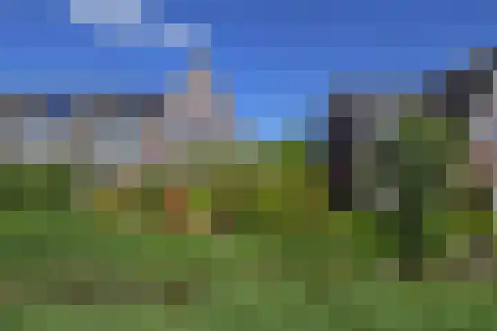 Meikeverstraat 18 Berkel en Rodenrijs thumbnail 56