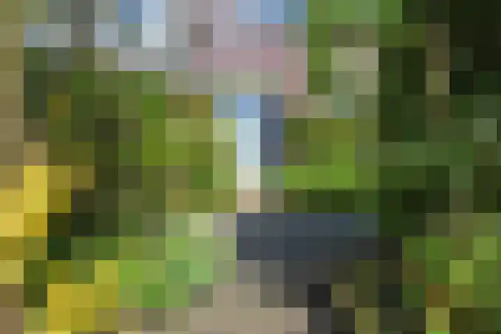 Meikeverstraat 18 Berkel en Rodenrijs thumbnail 6