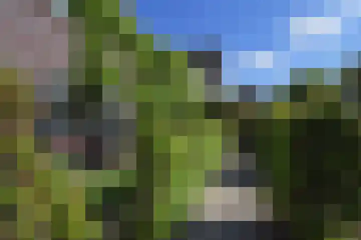 Meikeverstraat 18 Berkel en Rodenrijs thumbnail 60