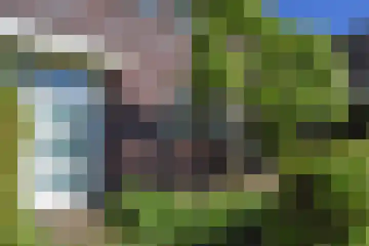 Meikeverstraat 18 Berkel en Rodenrijs thumbnail 61