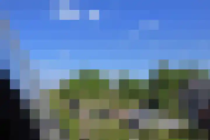 Meikeverstraat 18 Berkel en Rodenrijs thumbnail 64