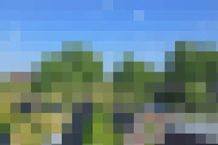 Meikeverstraat 18 Berkel en Rodenrijs thumbnail 65