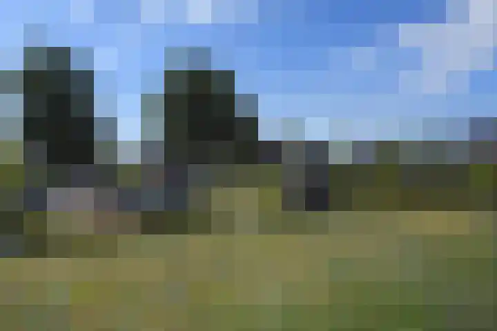 Meikeverstraat 18 Berkel en Rodenrijs thumbnail 66