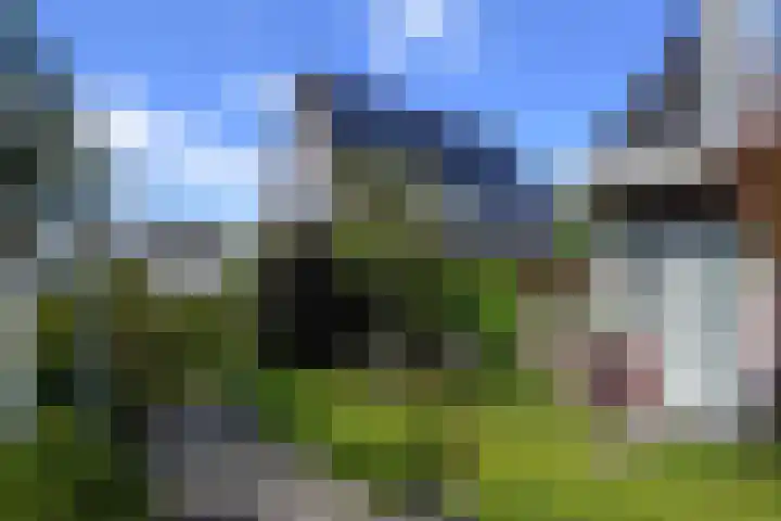 Meikeverstraat 18 Berkel en Rodenrijs thumbnail 67