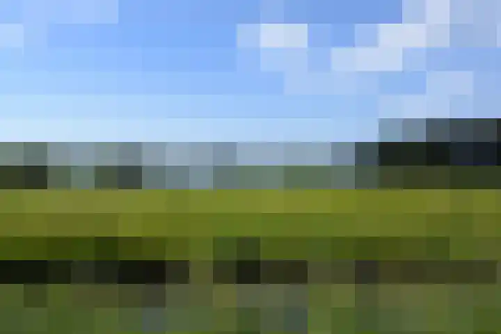 Meikeverstraat 18 Berkel en Rodenrijs thumbnail 68