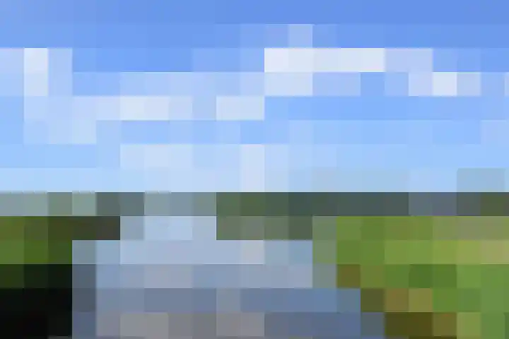 Meikeverstraat 18 Berkel en Rodenrijs thumbnail 69