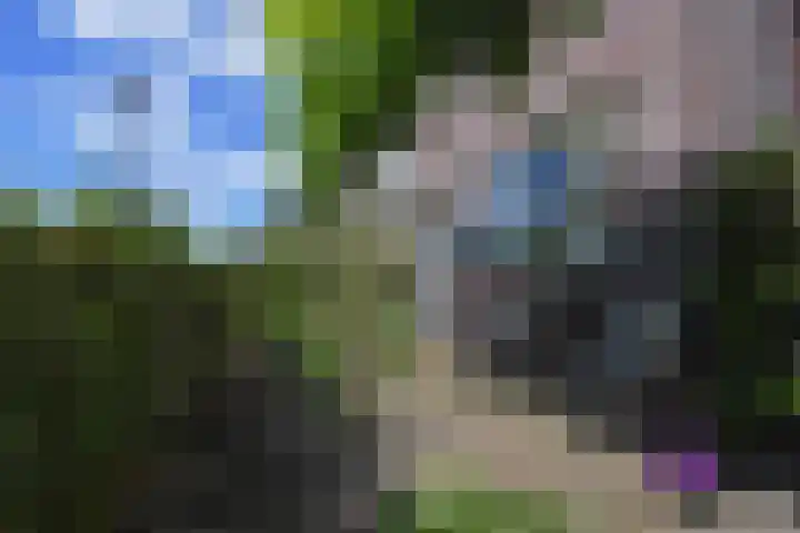 Meikeverstraat 18 Berkel en Rodenrijs thumbnail 7