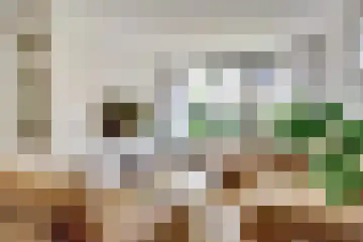 Meilag 24 Andijk thumbnail 12