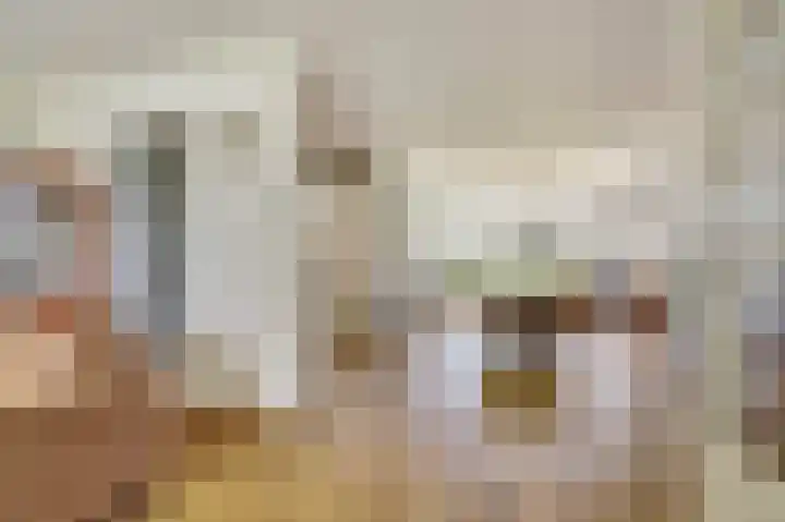 Meilag 24 Andijk thumbnail 14