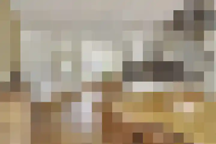Meilag 24 Andijk thumbnail 17