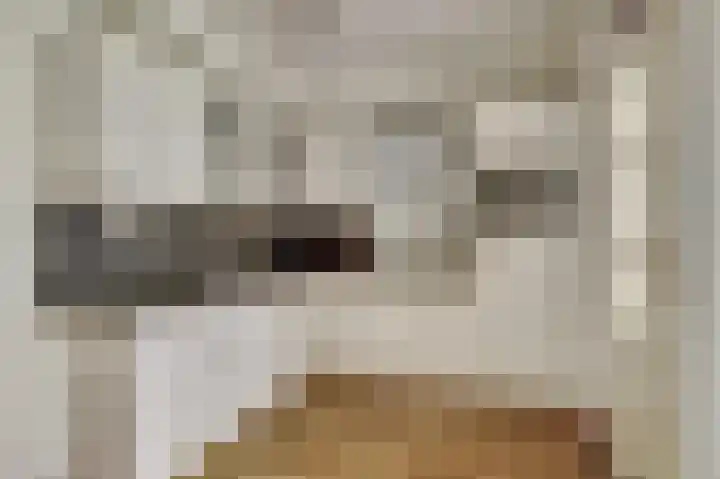 Meilag 24 Andijk thumbnail 18