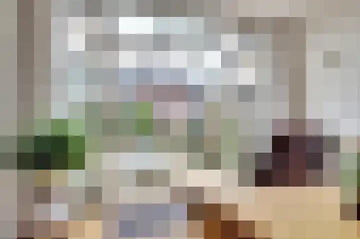 Meilag 24 Andijk thumbnail 19