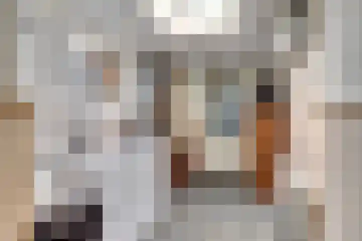 Meilag 24 Andijk thumbnail 20
