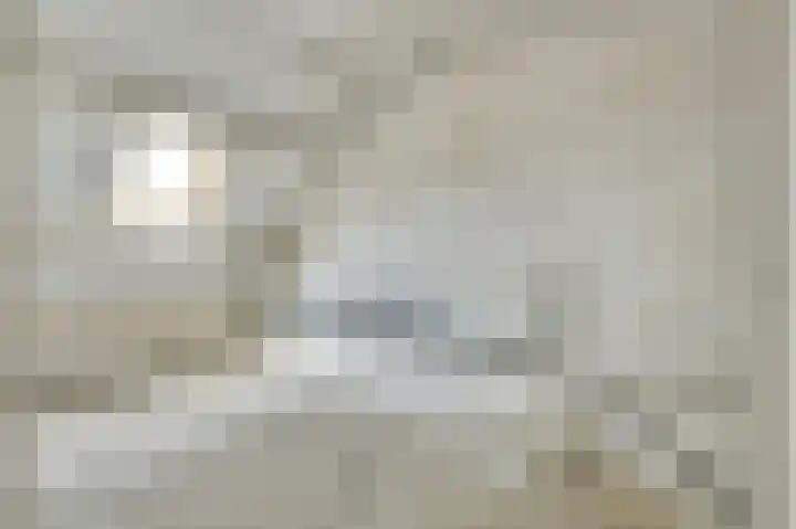 Meilag 24 Andijk thumbnail 34