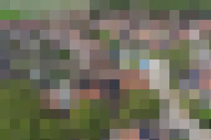 Meilag 24 Andijk thumbnail 45
