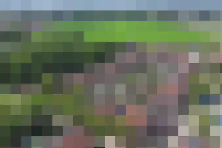 Meilag 24 Andijk thumbnail 46