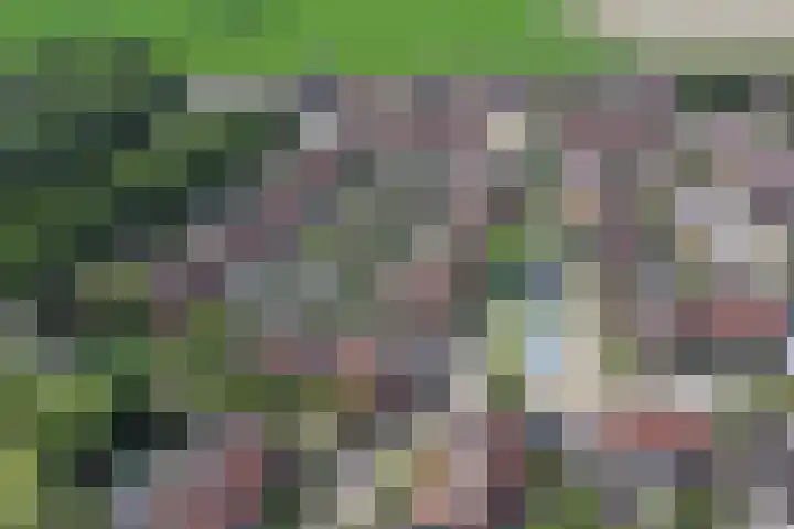 Meilag 24 Andijk thumbnail 47