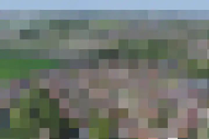 Meilag 24 Andijk thumbnail 48
