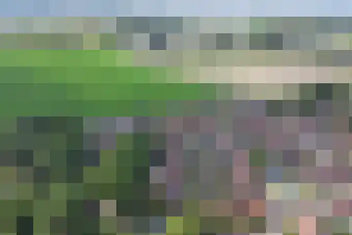 Meilag 24 Andijk thumbnail 49
