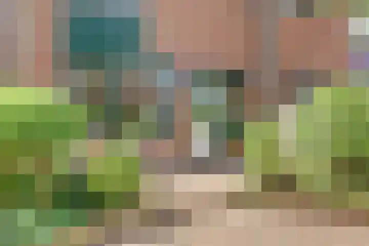 Meilag 24 Andijk thumbnail 6