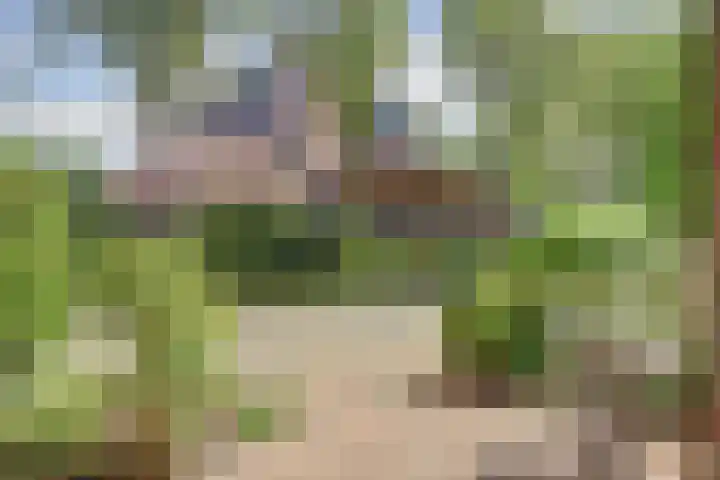 Meilag 24 Andijk thumbnail 7