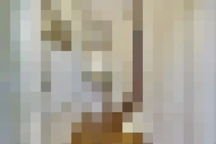 Meilag 24 Andijk thumbnail 9