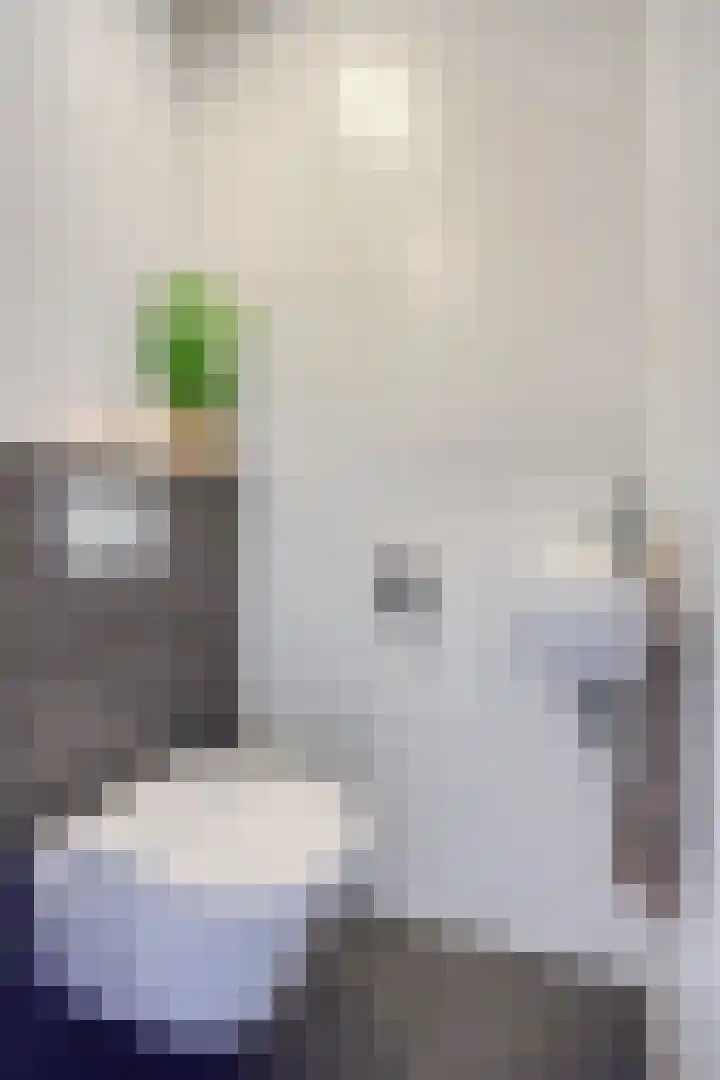 Meilag 28 Andijk thumbnail 17