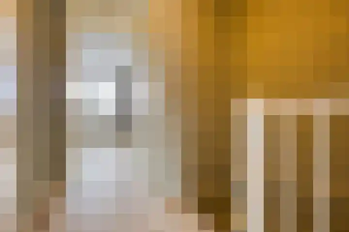 Meilag 28 Andijk thumbnail 19