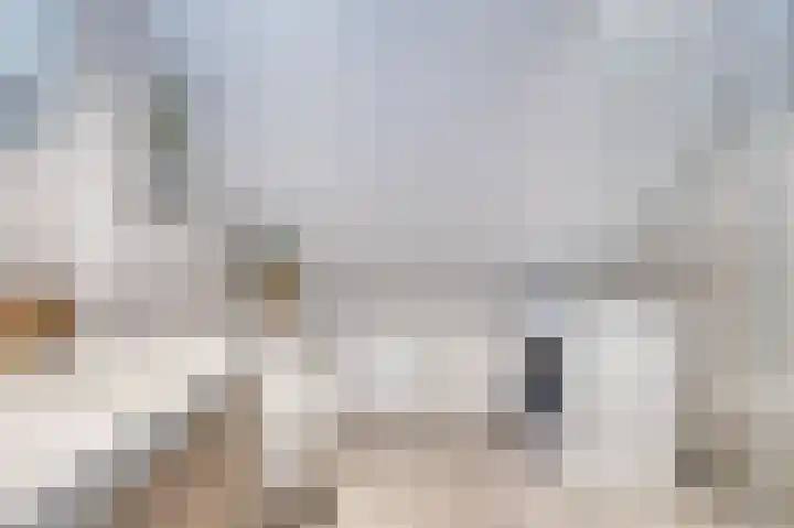 Meilag 28 Andijk thumbnail 24