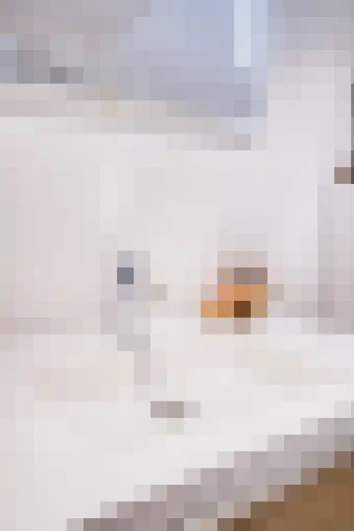 Meilag 28 Andijk thumbnail 28