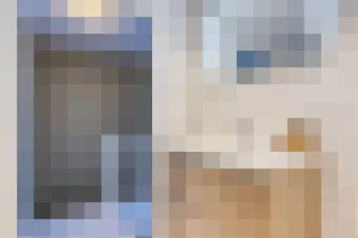 Meilag 28 Andijk thumbnail 29