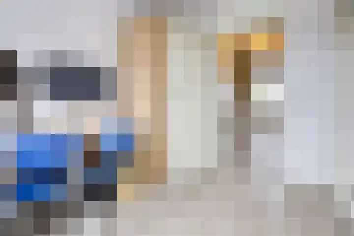 Meilag 28 Andijk thumbnail 31