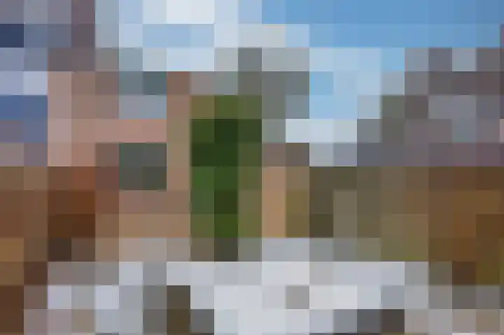 Meilag 28 Andijk thumbnail 37