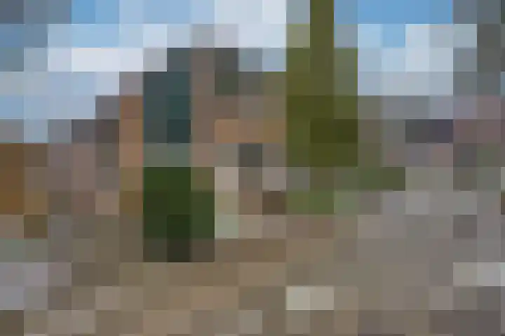 Meilag 28 Andijk thumbnail 43