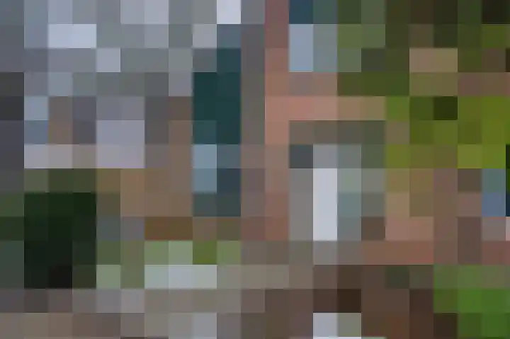 Meilag 28 Andijk thumbnail 45